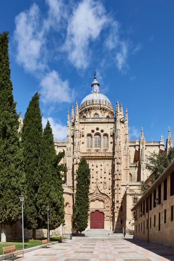 El Patio De La Catedral Apartment Salamanca Luaran gambar